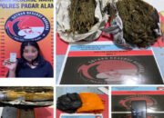 Satresnarkoba Polres Pagaralam Ringkus Pengedar Ganja di Sidorejo, Sita Barang Bukti 500 Gram
