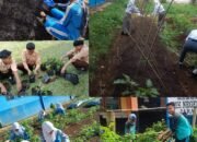 SMKN 1 Jarai Lakukan Budidaya Hidroponik