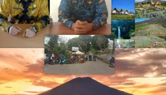 Wisata Perkebunan Teh Gunung Dempo Pagar Alam Jadi Magnet Wisatawan