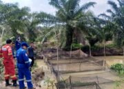 Medco E&P Grissik Dukung Budidaya Lele untuk Dorong Kemandirian Ekonomi Masyarakat
