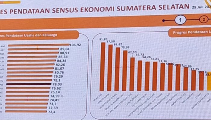 Pagar Alam Raih Predikat “Sangat Baik” dari Kementerian Investasi, Peringkat 21 Nasional dalam Kinerja Pelayanan Perizinan