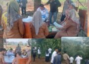 Pagar Alam Siapkan 50 Hektare Lahan Bawang Putih, Dukung Swasembada Pangan Nasional